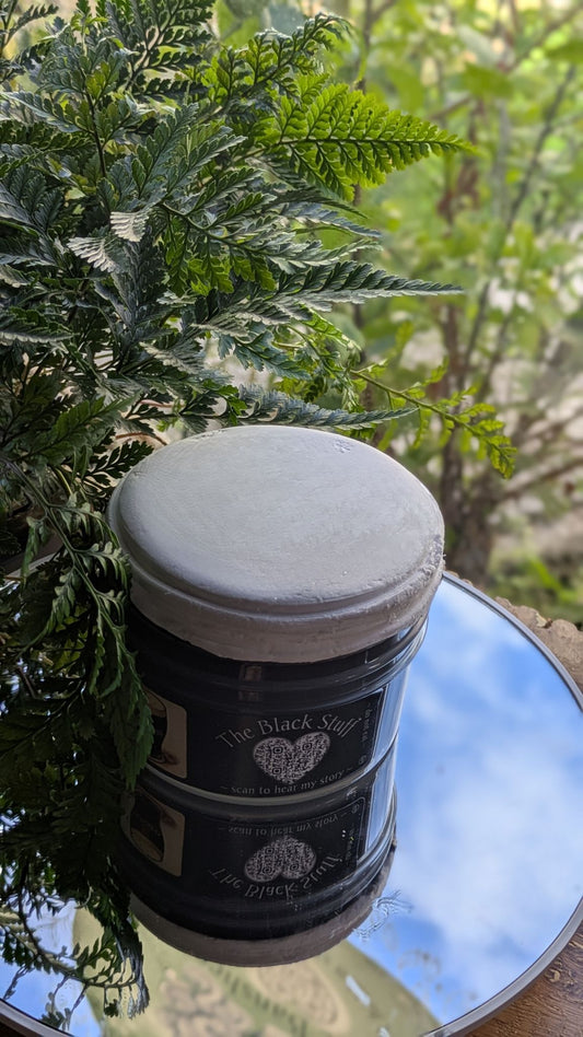 🤍 Guinness 🤍
